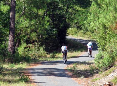 Camping de La Tour - Locmariaquer