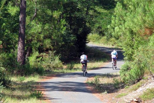 Camping de La Tour - Locmariaquer