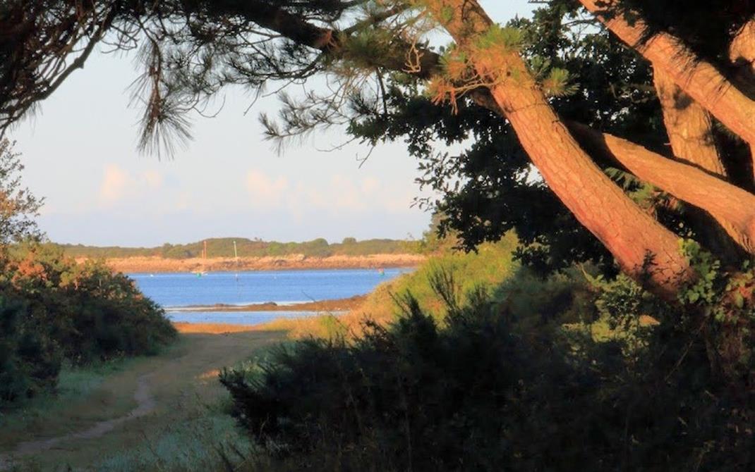 Camping de La Tour - Locmariaquer