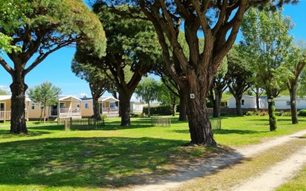 Camping de La Tour - Locmariaquer